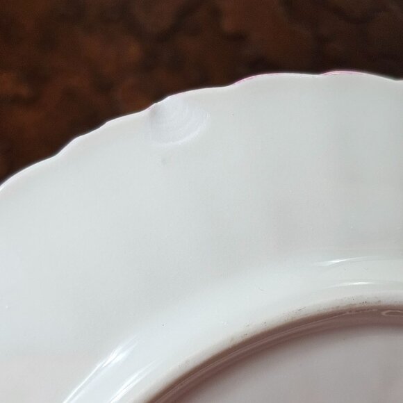 Antique Germany China "Forget Me Not" Pink Porcelain Teacup Saucer Demitasse - Picture 12 of 13